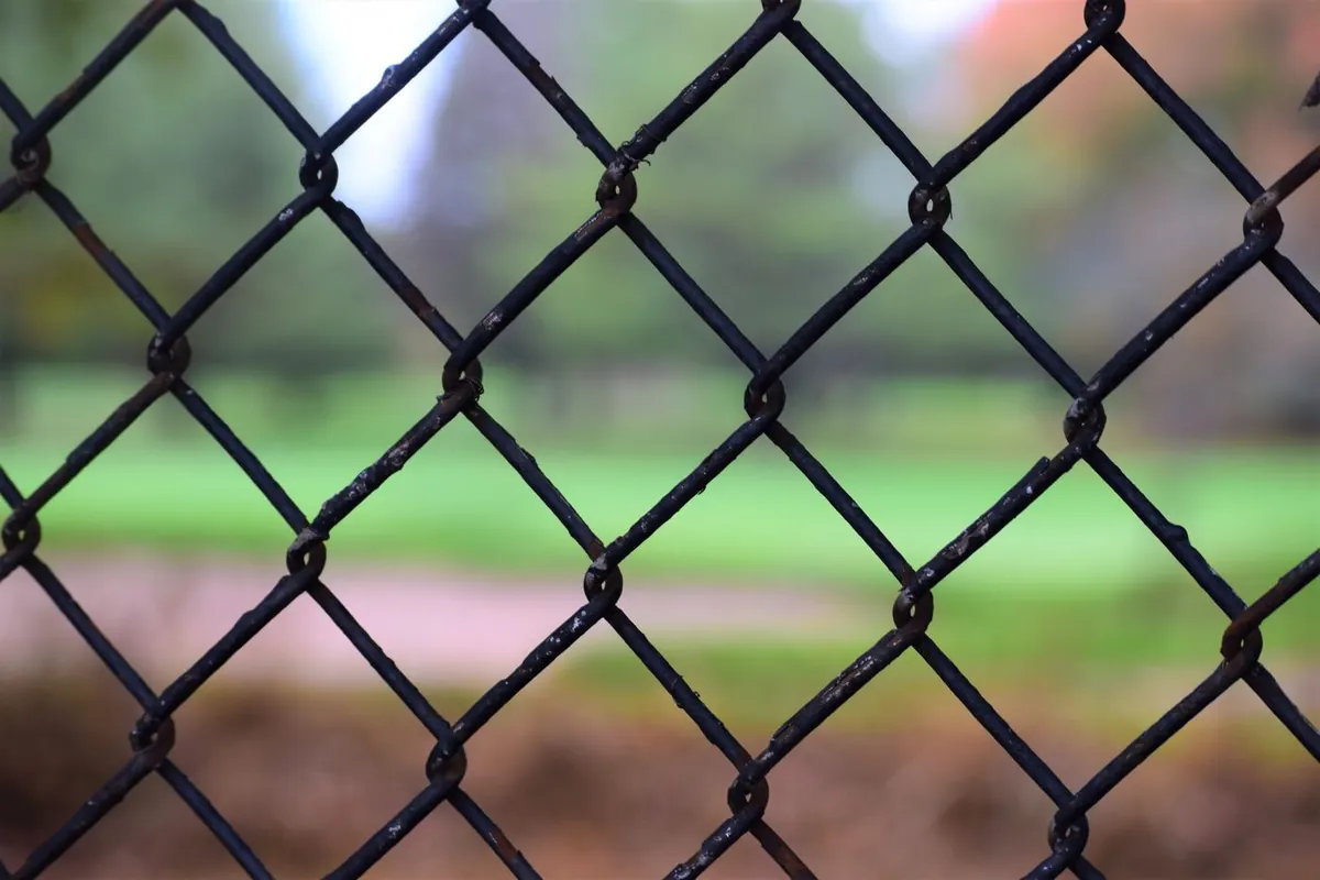 Close-up of black coated chain link fence with a lawn behind